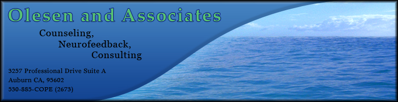 Erik Olesen & Associates provide Counseling, Neurofeedback and Consulting in Auburn CA